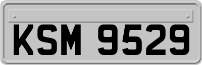 KSM9529