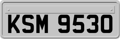 KSM9530