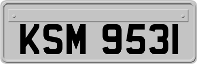 KSM9531