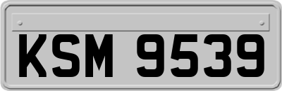 KSM9539