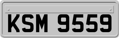 KSM9559
