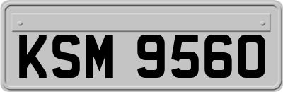 KSM9560