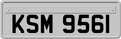 KSM9561