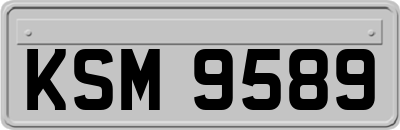 KSM9589