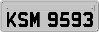 KSM9593