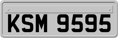 KSM9595