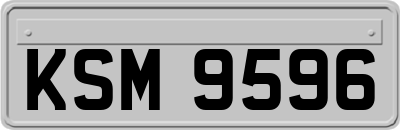 KSM9596