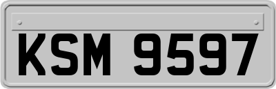 KSM9597