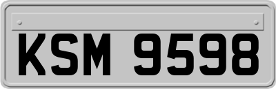 KSM9598