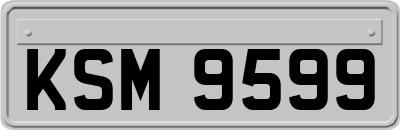 KSM9599