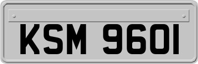 KSM9601