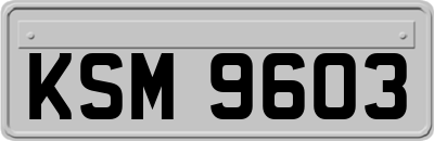 KSM9603