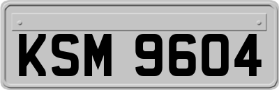 KSM9604
