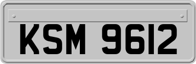 KSM9612