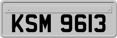 KSM9613