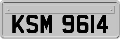 KSM9614