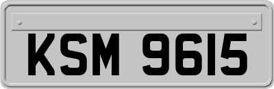KSM9615