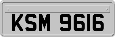 KSM9616