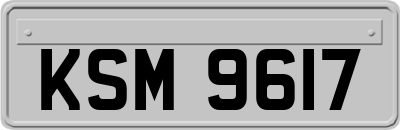 KSM9617