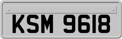 KSM9618