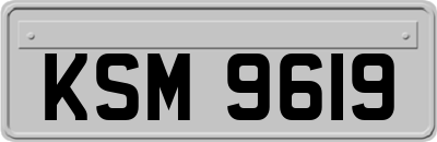 KSM9619