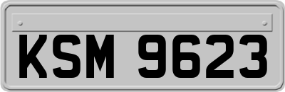 KSM9623