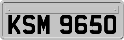 KSM9650