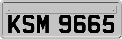 KSM9665