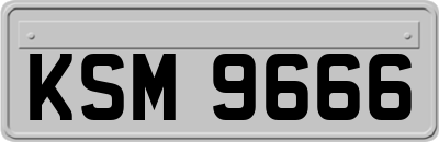 KSM9666