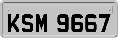 KSM9667