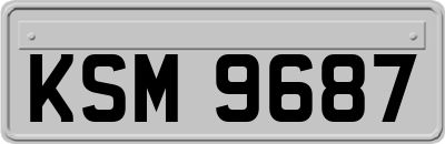 KSM9687