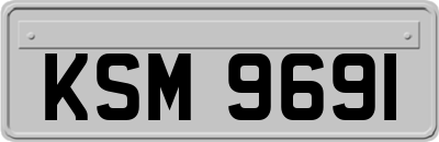 KSM9691