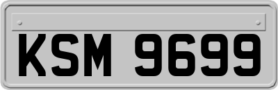 KSM9699