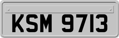 KSM9713