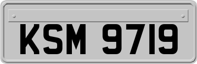 KSM9719