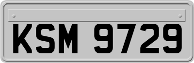 KSM9729