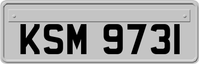 KSM9731