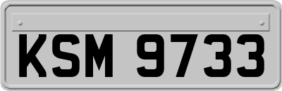 KSM9733