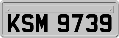 KSM9739