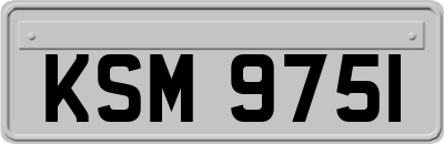 KSM9751