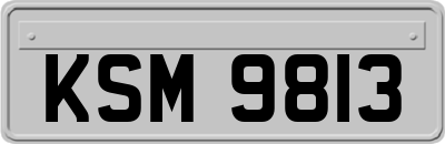 KSM9813