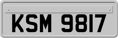 KSM9817