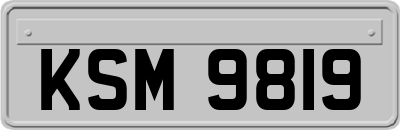 KSM9819