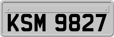 KSM9827