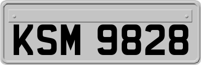 KSM9828