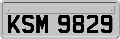 KSM9829