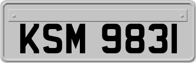 KSM9831