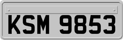 KSM9853