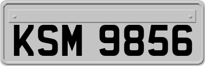 KSM9856