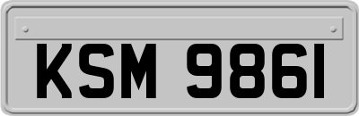 KSM9861